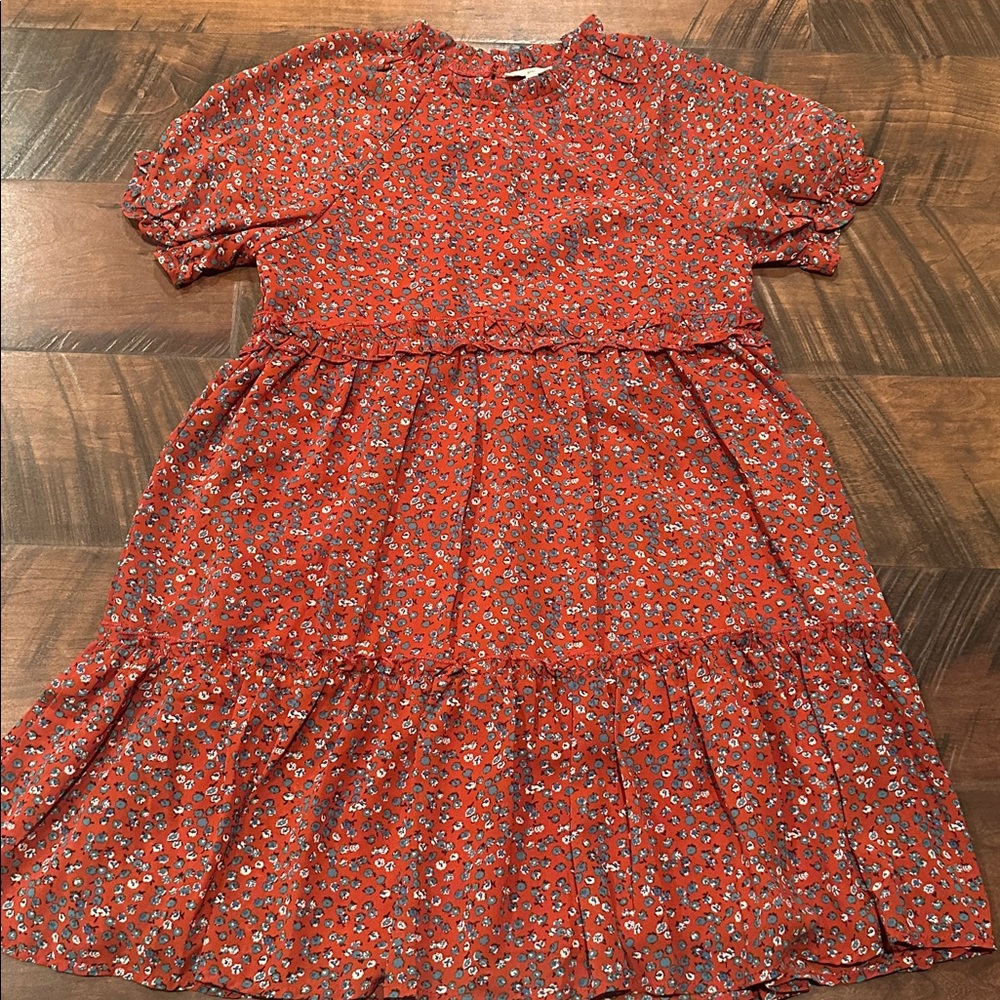 Hayden Red and Blue Floral Dress